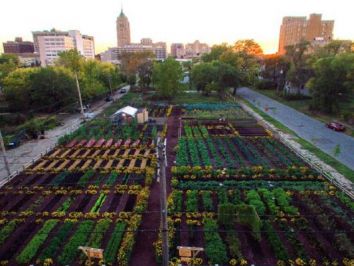 Agricultura Urbana