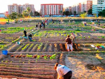 Agricultura Urbana